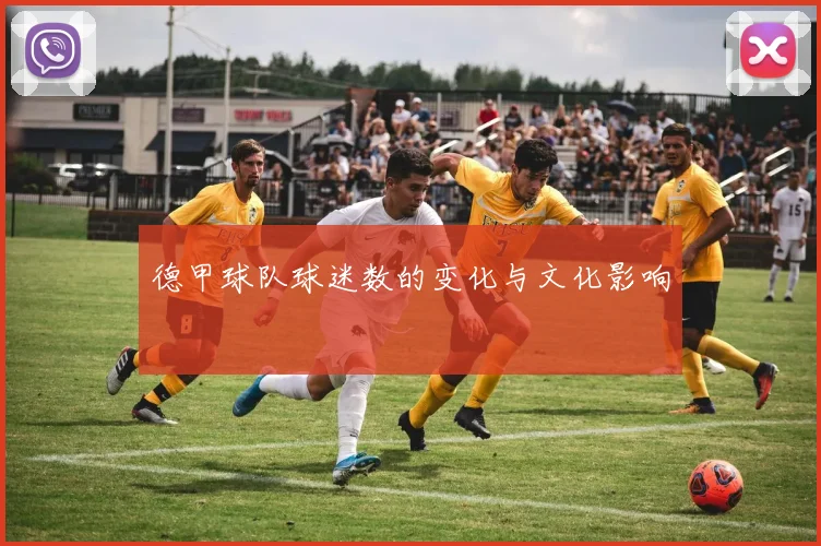 德甲球队球迷数的变化与文化影响