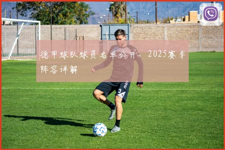 德甲球队球员名单公开，2025赛季阵容详解