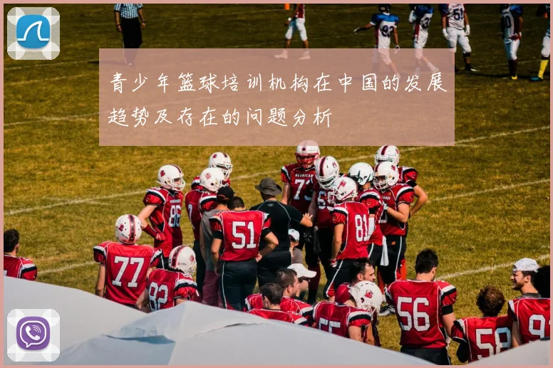 青少年篮球培训机构在中国的发展趋势及存在的问题分析