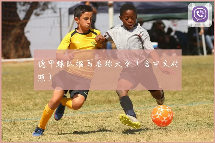 德甲球队缩写名称大全(含中文对照)